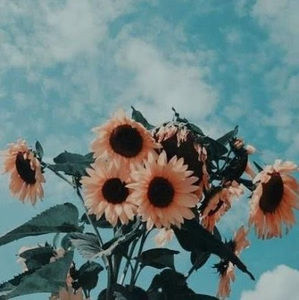 Meet your Posher, Mary clare